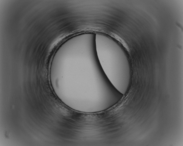 X0000092011027200709061305