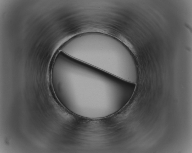 X0000092011028200709061305
