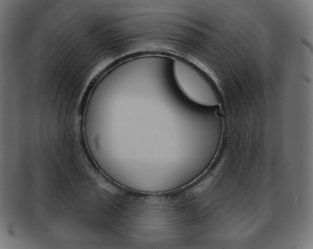 X0000092011029200709061305