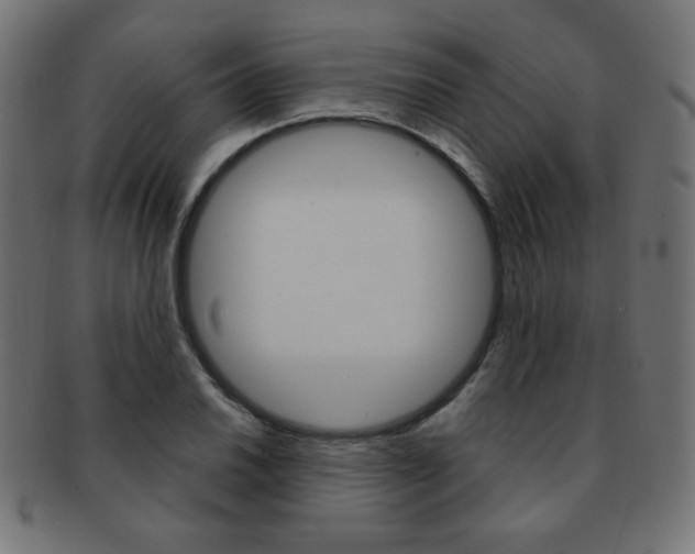 X0000092011030200709061305