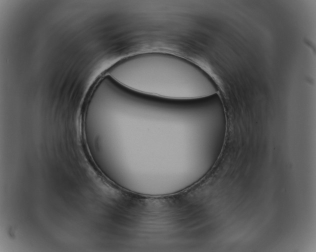 X0000092011032200709061305