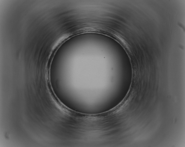 X0000092011034200709061305