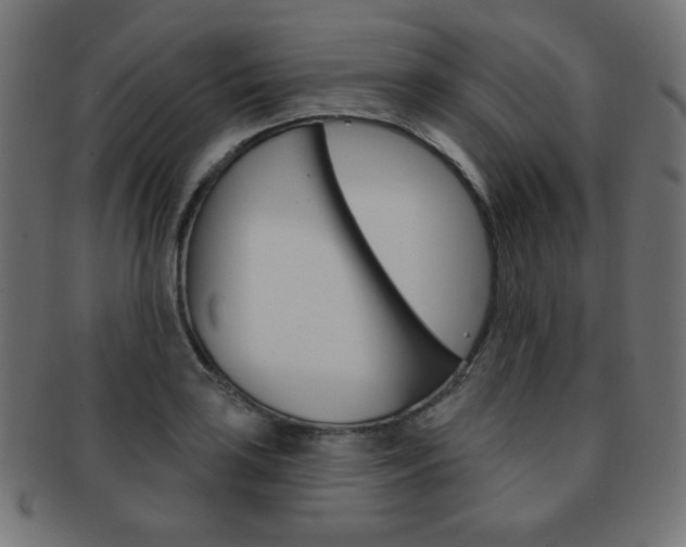 X0000092011035200709061305
