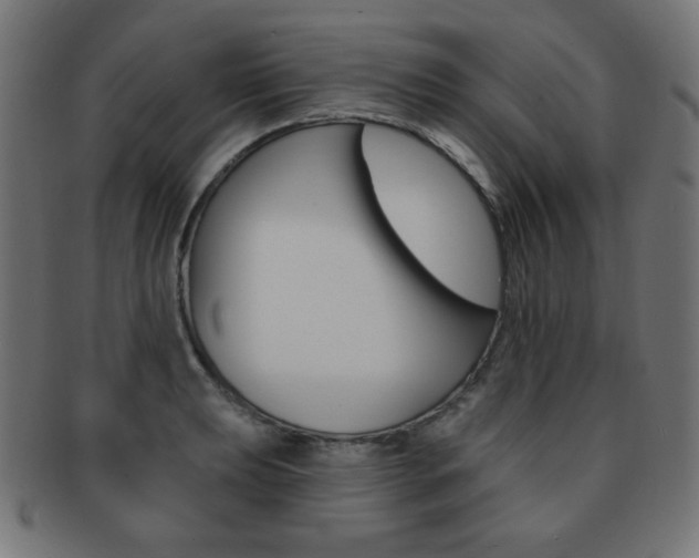 X0000092011039200709061305