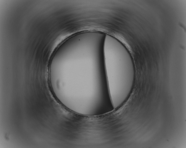 X0000092011040200709061305