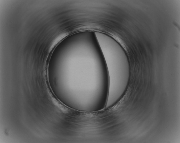 X0000092011042200709061305