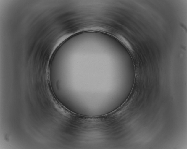 X0000092011044200709061305