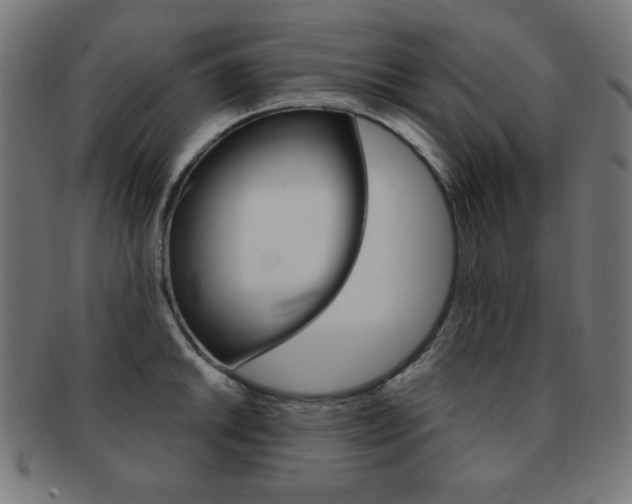 X0000092011046200709061305
