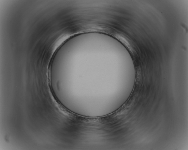X0000092011047200709061305