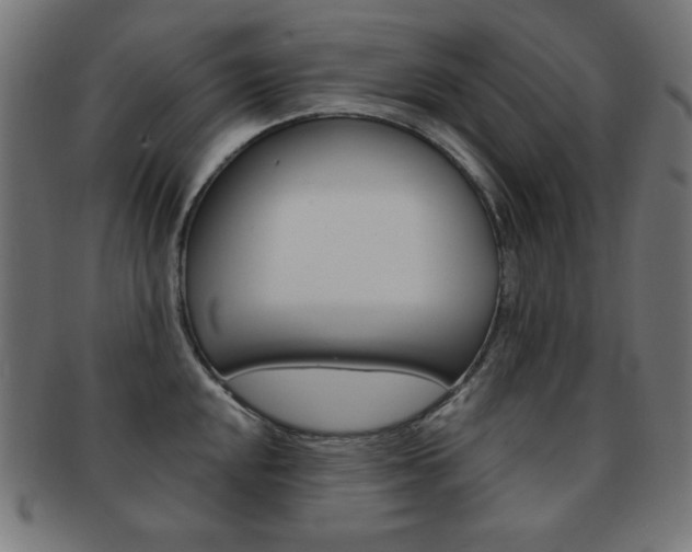 X0000092011048200709061305