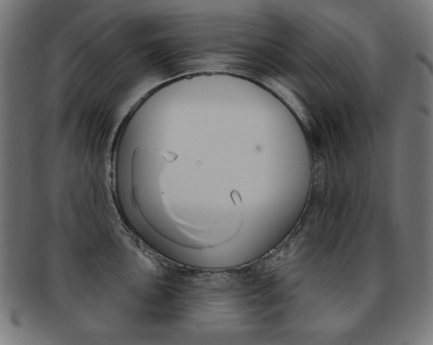 X0000092011051200709061305