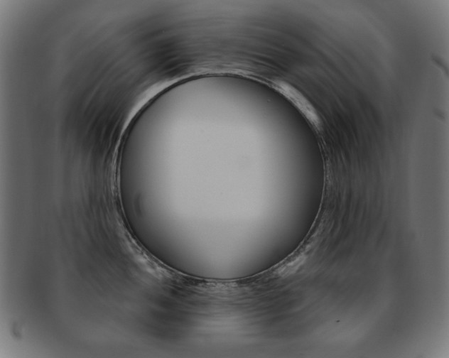 X0000092011052200709061305