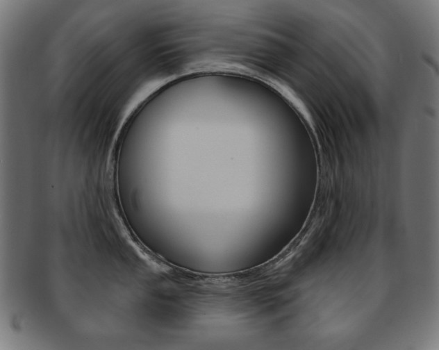 X0000092011053200709061305