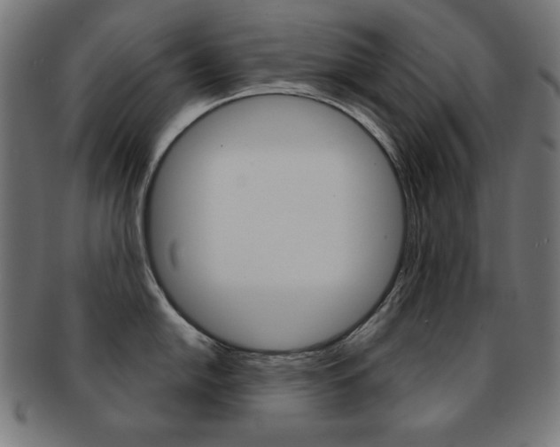 X0000092011054200709061305