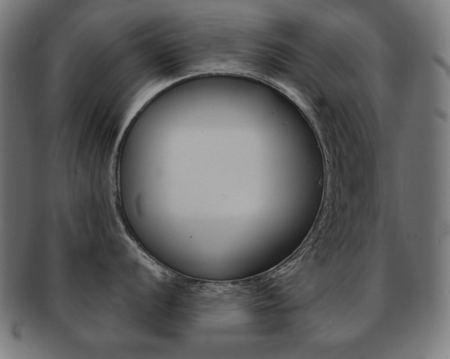 X0000092011056200709061305