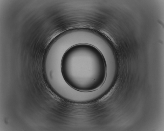 X0000092011065200709061304