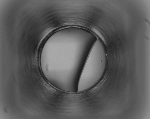 X0000092011068200709061304