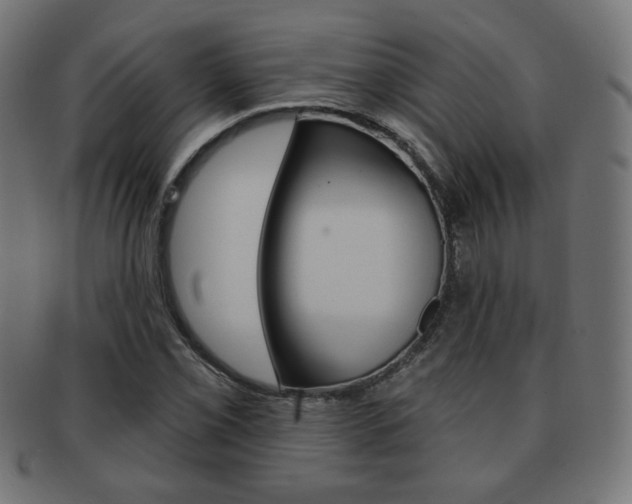 X0000092011069200709061304