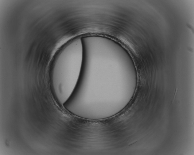 X0000092011070200709061304