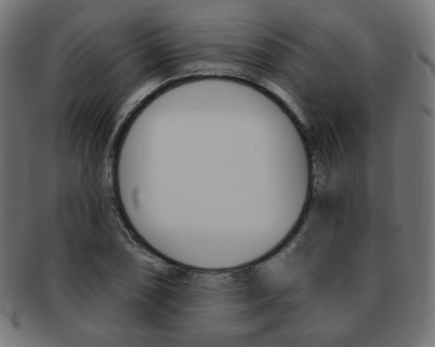 X0000092011074200709061304