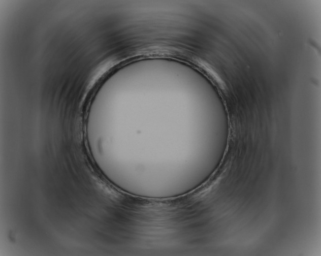 X0000092011075200709061304