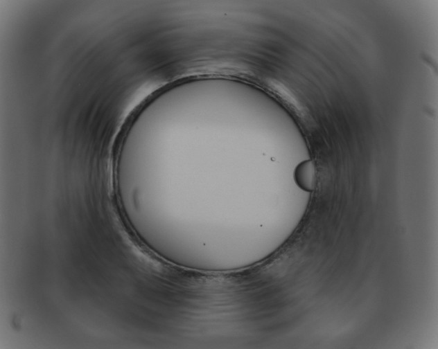 X0000092011079200709061304