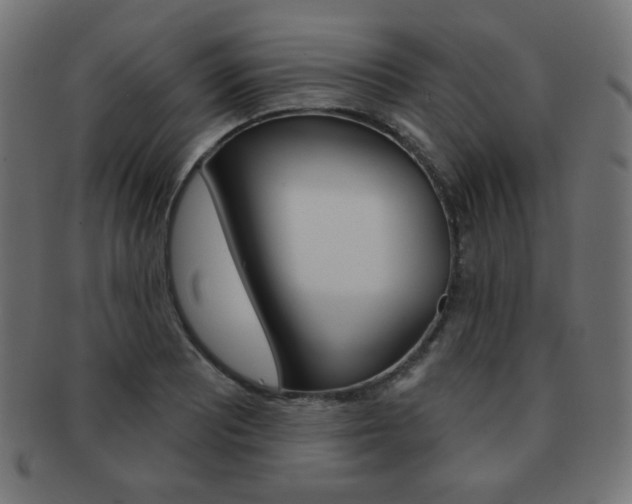 X0000092011081200709061304