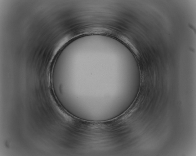 X0000092011083200709061304
