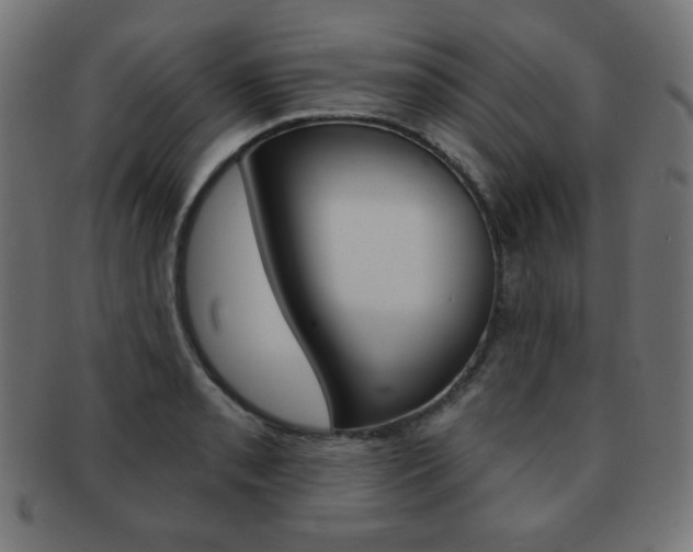 X0000092011085200709061304