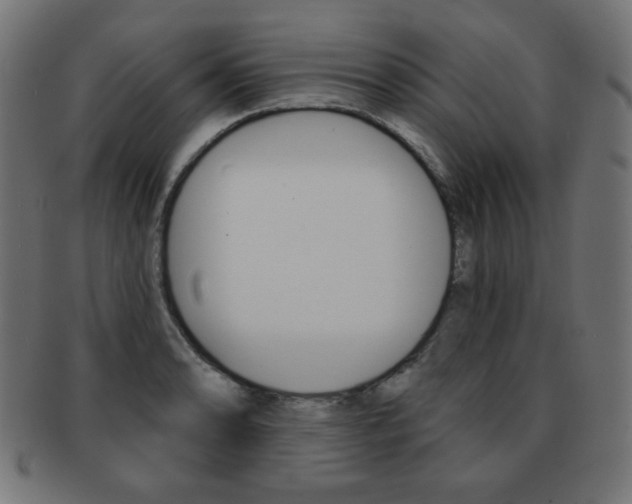 X0000092011086200709061304