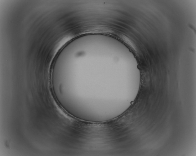 X0000092011087200709061304