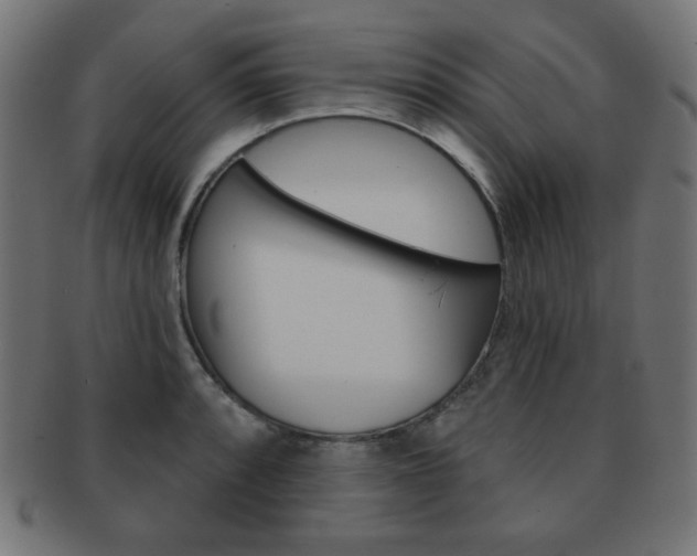 X0000092011088200709061304