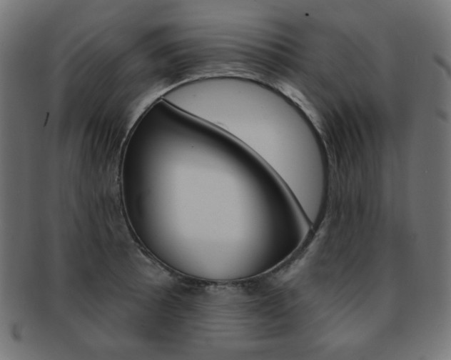 X0000092011089200709061304