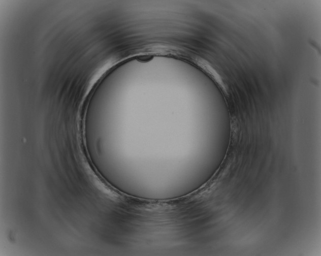 X0000092011091200709061304