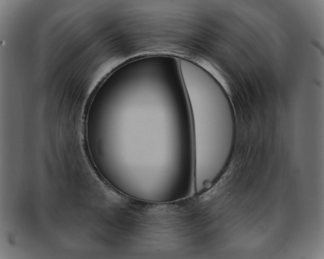 X0000092011093200709061304
