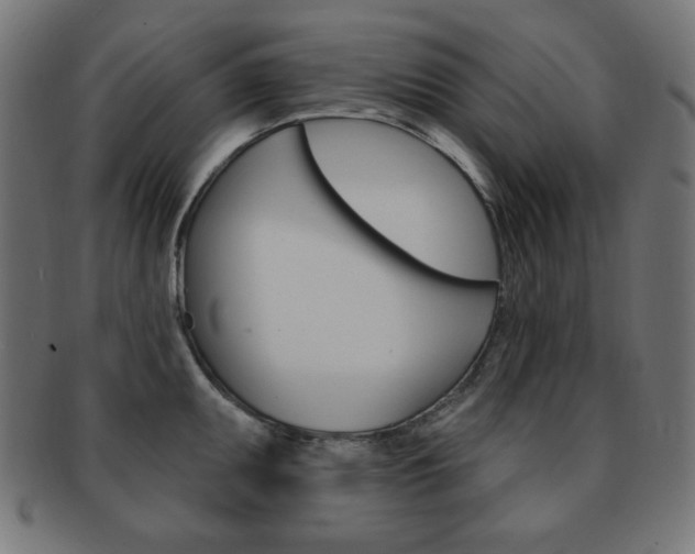 X0000092011095200709061304