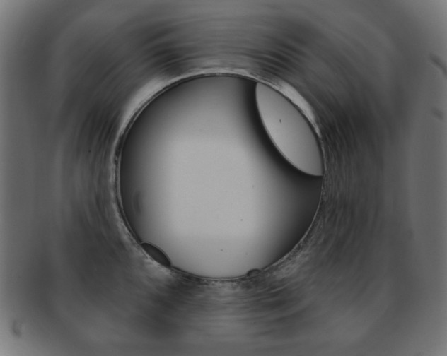 X0000092011096200709061304