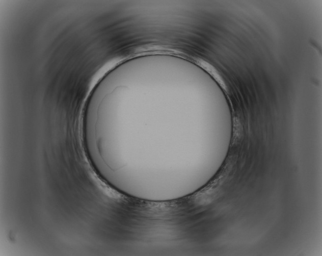 X0000092011098200709061304