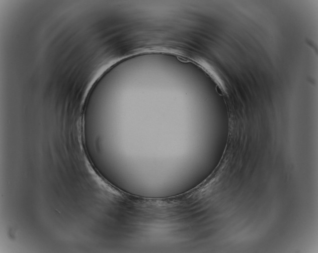 X0000092011100200709061304