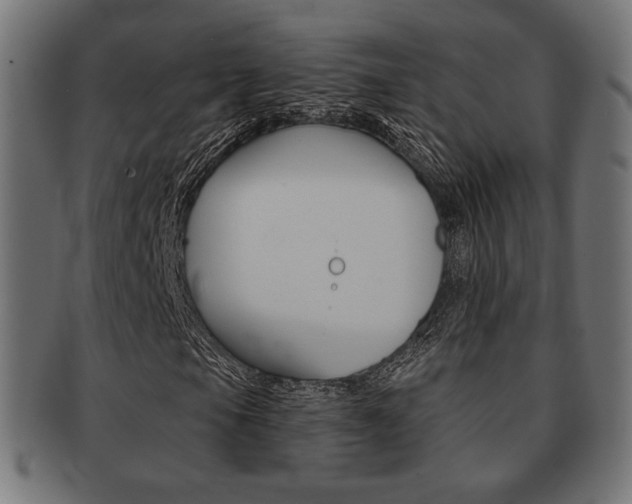 X0000092011105200709061303