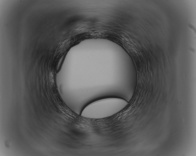 X0000092011106200709061303
