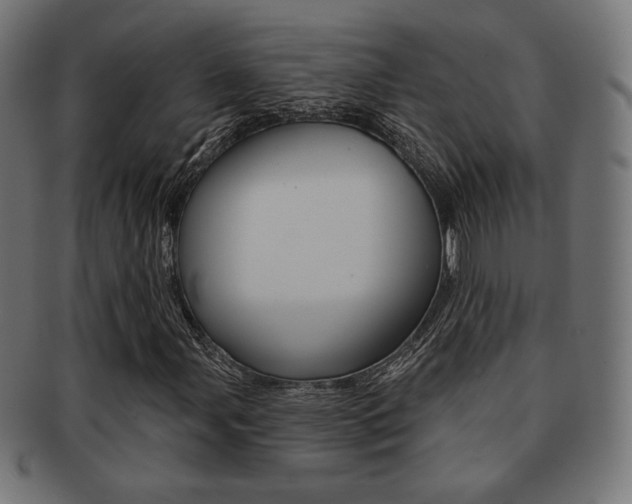 X0000092011107200709061303