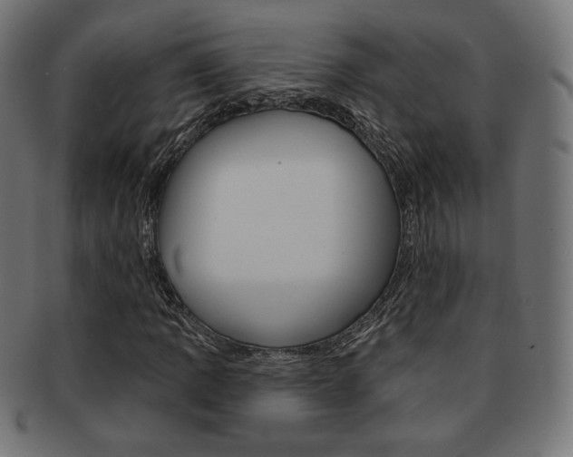 X0000092011109200709061303