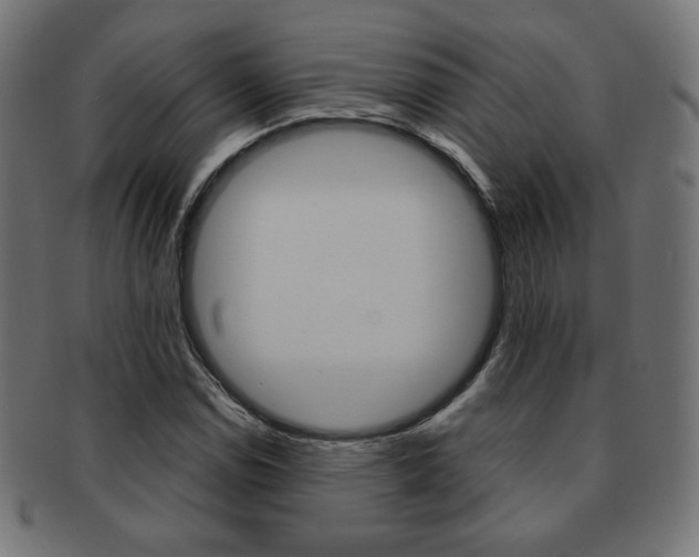 X0000092011114200709061303