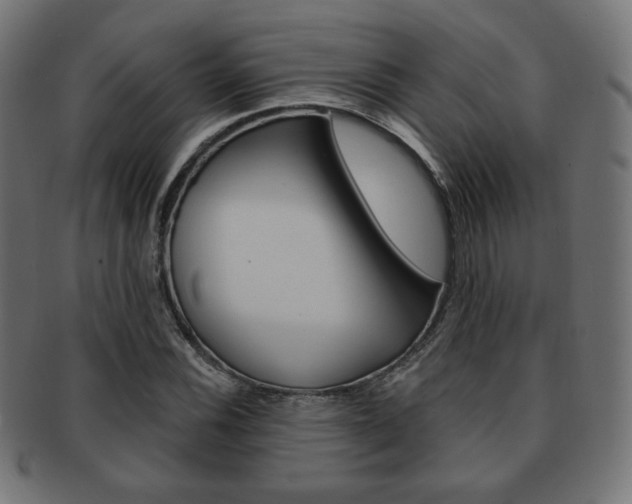 X0000092011116200709061303
