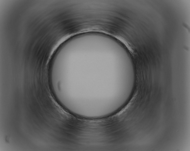 X0000092011118200709061303
