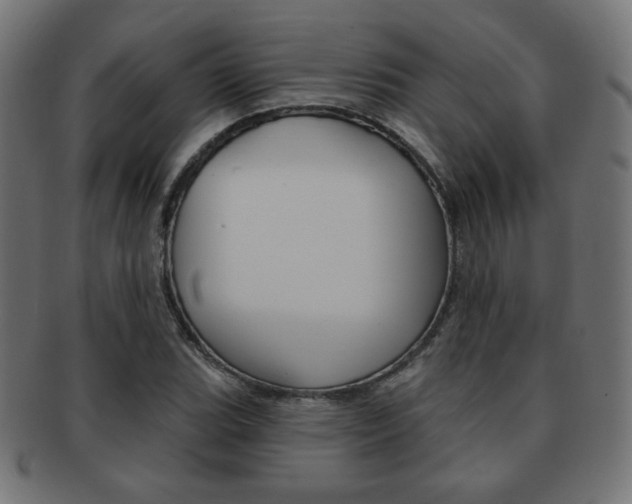 X0000092011119200709061303
