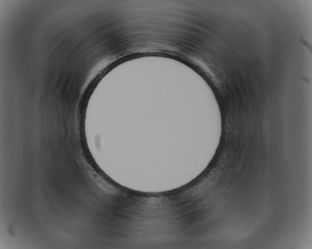 X0000092011122200709061303
