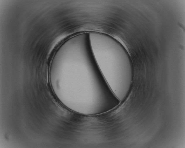 X0000092011123200709061303
