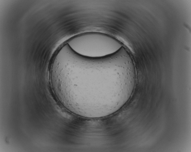 X0000092011125200709061303